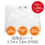 �y10���Z�b�g�z���h���V�[�g�@2.7m x 3.6m (P450)