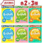 ショッピンググミ カバヤ しゃりin グミ 3種（ ソーダ / マスカットソーダ / さわやかみかん ）各２計6袋 ( アソート 不思議食感 おいしい リフレッシュ 詰合わせ セット )