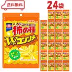 亀田 亀田の柿の種 ダブルコンソメ 45g×24袋 おせんべい せんべい 煎餅 米菓 詰め合わせ まとめ買い 大容量 業務用 セット 賞味期限2026年3月24日