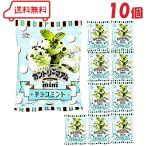  Fujiya Country maam Mini шоко мята 42g × 10 пакет ( срок годности 2026 год 12 конец месяца ) печенье soft печенье Mini размер .... шоко min.