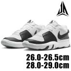 NIKE JA 1 EP DR8786 101 мужской белый черный чёрный Nike Java shu спорт 