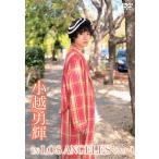 [ б/у ] маленький .. блестящий IN LOS ANGELES VOL.1 / DVD( obi нет )