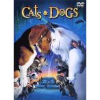 [ б/у ] Cat's tsu& собака s/ DVD( obi нет )