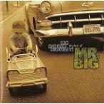 【中古】ザ・ベスト・オブ・MR.BIG  /  MR.BIG（帯無し）