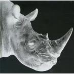 【中古】Mr.Children 1992-1995(スリーブケース欠品) / Mr.Children（帯無し）