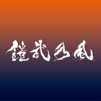 [ новый товар ]YOUR SONG (CD+DVD) / Shonan . способ 