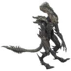 HIYA 玩具 異星人：植民地 海兵隊: ゼノモーフ レイヴンXenomorph raven1:18 スケール アクション フィギュア  平行輸入