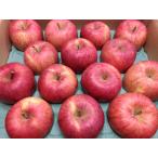 ★りんご★サンふじ★糖度15度★大玉１４個★訳あり虫害★農家直送★除草剤不使用★青森県産★