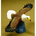 ショッピングアメリカンイーグル アメリカンイーグル　Ａ