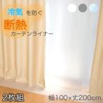 断熱カーテンライナー ビニール 100cm×200cm 採光タイプ 遮光タイプ 断熱 節電 暑さ 冷気を防ぐ 省エネ 抗菌 防カビ UVカット 無地 透明 送料無料 明和グラビア