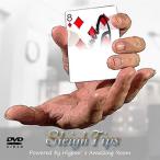 SleighTips - подлинный . белый. карта . автограф карта . изменение - Magic анимация есть карта Magic фокус товары Magic DVD