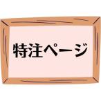 特注ページ4【日本ペイント 水性パーフェクトシーラー　ホワイト・透明　15kgセット】
