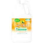 ショッピング緑の魔女 ミマスクリーンケア 緑の魔女 泡タイプ バス 詰替用 2L