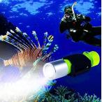 ShinePick дайвинг свет LED подводный мигающий свет подводный свет LED 18mm*65.0mm батарейка 1100LM вода суша обе для легкий флуоресценция 