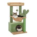 PAWZ Road キャットタワー ミニ 猫タワー サボテン 小型 低め 据え置き 人気 コンパクト 省スペース 麻紐爪とぎ ハンモック おしゃ