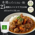 スパイスカレー粉 25種配合 カレー�