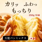 パンミックス 手作りパン 250ｇ 10袋 初心者 ホームベーカリー ミックス粉 フライパン オーブン