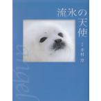 流氷の天使 / 井村淳 中古　単行本