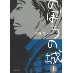 . ... замок сверху / мир рисовое поле дракон б/у библиотека 