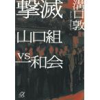 撃滅　山口組VS一和会 / 溝口敦 中古　文庫
