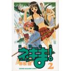  Mahou Sensei Negima!(2) / красный сосна . б/у манга 