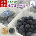 ショッピングブルーベリー 【送料無料】大粒の生ブルーベリー（Lサイズ大玉）／岩手県遠野産、農薬不使用