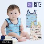 ショッピングBit\\\\\\\'z 子供服 BIT'Z サメ図鑑 総柄 グレコ水着 UVカット キッズ 男の子 スイム 水着 2024夏