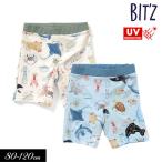 ショッピングBit\\\\\\\\\\\\\\\'z 子供服 水着 BIT'Z ビッツ 海の生き物 図鑑柄 ボクサー水着  パンツUVカット キッズ 男の子 スイム 2022夏