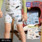 ショッピングBit\\\'z 子供服 BIT'Z サメ図鑑 総柄 ボクサー水着 UVカット キッズ 男の子 スイム 水着 2024夏