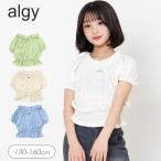 セール 子供服 algy アルジー シャーリング 半袖 Tシャツ 女の子 ALGY アルジー  キッズ トップス  おしゃれ ダンス かわいい  2026夏 爆買