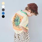 セール 子供服 p.premier ピードットプルミエ ジュラシックパーク　バリエーション グラフィック Tシャツキッズ ベビー 男の子 女の子 半袖Tシャツ 夏物 2026夏