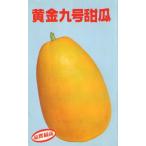 黄金九号甜瓜