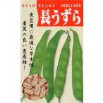 つるなし菜豆（長うずら菜豆）