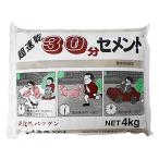 家庭化学 超速乾30分セメント グレー 4kg
