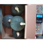  иметь машина культивирование нет пестициды каштан тыква 2025 год 8 месяц производство 5kg+ размер . Nara префектура инсектицид стерилизация убийца сорняков не использование наан gold ... Chan .. ...