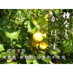 ショッピング大分 種無しカボス 大分県産 農薬不使用 種無しかぼす　3キロ