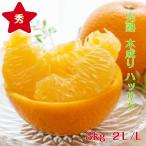 はっさく ・八朔【秀�