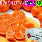和歌山 小玉みかん 10kg 2S/Sサイズ 多少の傷あり 甘さたっぷりのみかん 送料無料  小玉 紀州  紀南 温州みかん 早生みかん 完熟 濃厚 糖度 甘い フルーツ