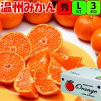  Wakayama [ превосходящий товар ] мандарин L размер 3kg.. вдоволь. мандарин бесплатная доставка ... юг мандарин уншиу . толщина mi can сахар раз .. подарок по случаю конца года подарок .. для 