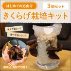 【3個セット】初めての方向け おうちでかんたん！純国産きくらげ栽培キット NHK ガッテン 室内 初心者 きのこ 子供 家庭菜園 自由研究 夏休み キット お歳暮