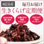 純国産 生きくらげ定期便 10回分+1回分プレゼント♪ 国産 キクラゲ NHK ガッテン ダイエット 健康 ダイエット 栄養 ビタミンD 刺身 青空レストラン お歳暮