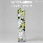 . бабочка орхидея искусственный цветок цилиндр Blanc L.. нет a-tifi автомобиль ru цветок высококлассный подарок открытие праздник ... праздник . anniversary commemoration праздник прием ... интерьер 