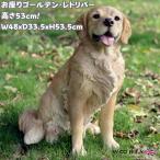 犬 置物 大型 動物 お座りゴールデン・レトリバー 特大 高さ53.5cm おしゃれ 大きい 玄関インテリア 庭 ガーデン かわいいオブジェ 北欧 リアル 面白い