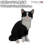 置物 動物 かわいい お座りハチワレ