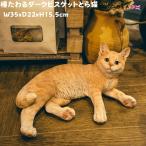 置物 猫 動物 かわいい 横たわるダークビスケットとら猫 ネコ 高さ15.5cm woobia おしゃれ 大きい 玄関 インテリア