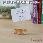 �����X�^���h �����Č� ���킢�������N���b�v �u���C���e���A �����z���_�[ �J�[�h�N���b�v  woobia �E�[�r�A