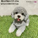 置物 犬 かわいい 動物 玄関 見上げるトイプードル グレー おしゃれ インテリア ガーデンオーナメント woobia ウービア