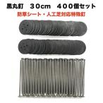 黒丸釘セット 黒丸板400枚+30cm釘400本