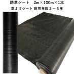 防草シート 2m×100m 1本 耐久年数2年から3年 草よけシート 抗菌剤 UV剤入り 雑草対策 太陽光発電 庭
