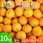 みかん 山北みかん 訳あり 約10kg 蜜柑 温州みかん 露地みかん 10キロ 小玉 大玉 B品 甘い 産地直送 柑橘 果物 フルーツ 送料無料 ヤマト発送